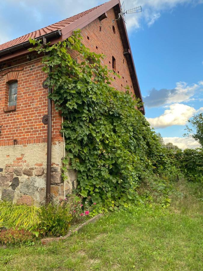 Mlyn Wodny Eko Hillar Villa Rybno  Exterior foto